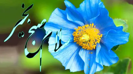 جملات سلام صبح بخیر امروز + فیلم