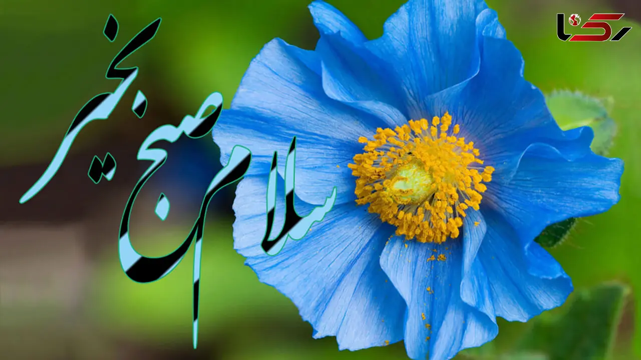 جملات سلام صبح بخیر امروز + فیلم