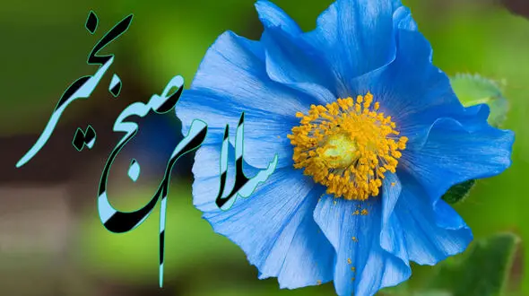 جملات سلام صبح بخیر امروز + فیلم