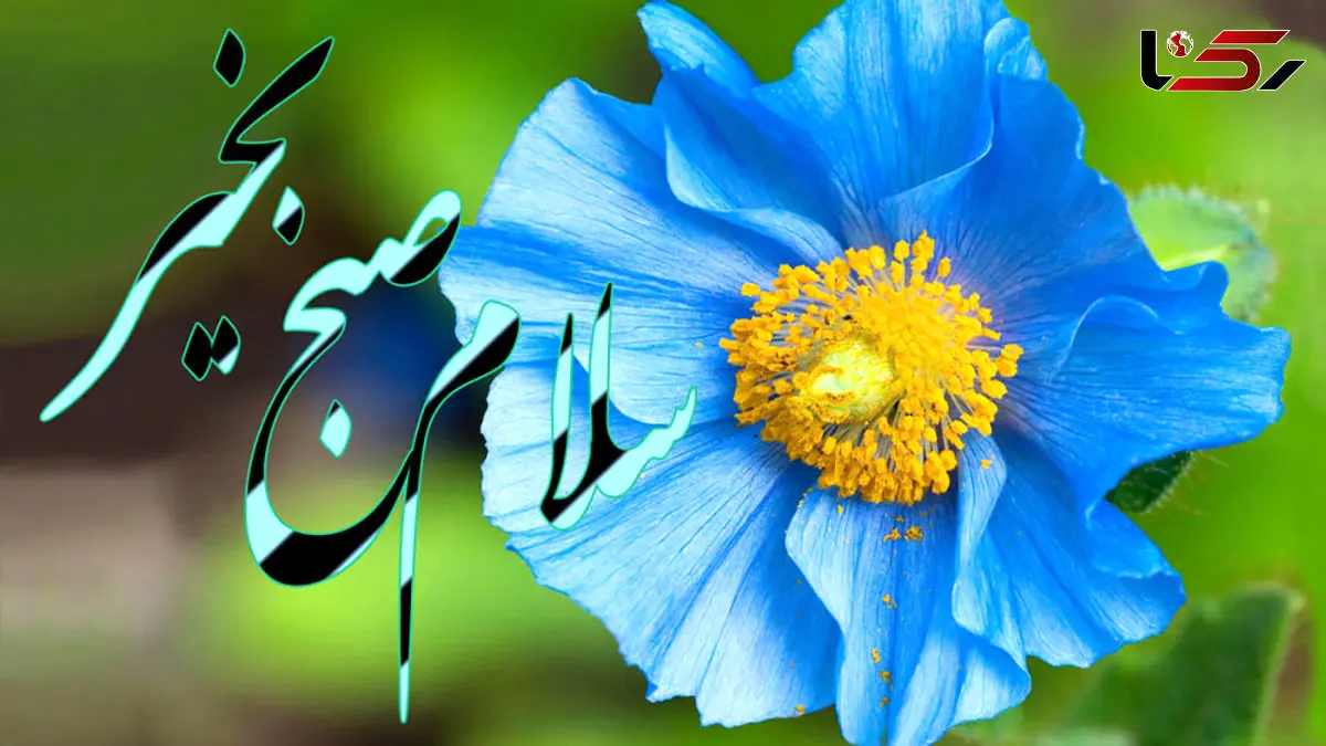جملات سلام صبح بخیر امروز + فیلم