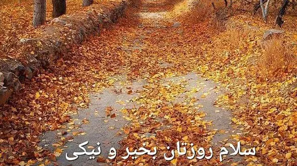4 فال متفاوت و جالب / فیلم