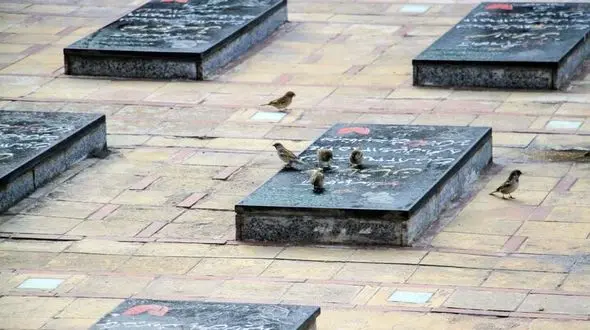 

سنگ قبر ۵۰میلیون تومانی در تهران
