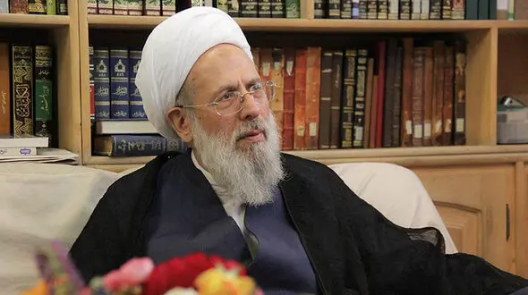 انتقاد عضو مجلس خبرگان از لیس زدن ضریح ائمه از سوی برخی افراطیون /اگر کمک نمی‌کنید لااقل ضربه نزنید