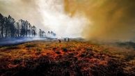 گرما جان بیش از 1000 نفر در پرتغال را گرفت / تداوم آتش سوزی جنگل ها در جنوب اروپا