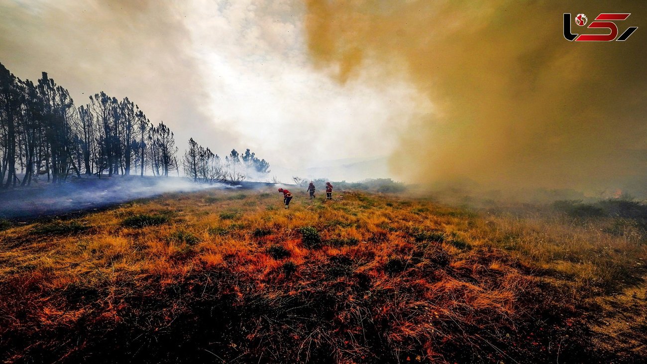 گرما جان بیش از 1000 نفر در پرتغال را گرفت / تداوم آتش سوزی جنگل ها در جنوب اروپا