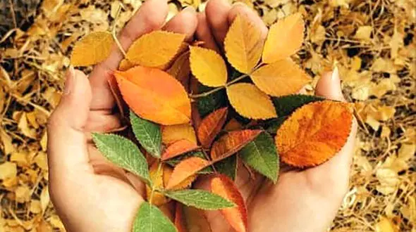 فال ابجد امروز یکشنبه / فیلم