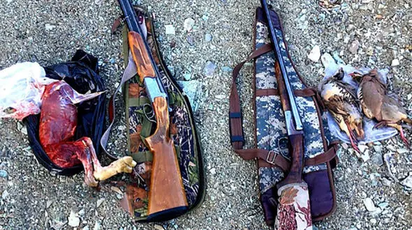 دستگیری شکارچی های متخلف در قزوین