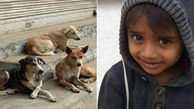 اولین عکس از کودک معصومی که خوراک سگ های ولگرد قشم شد + جزئیات 