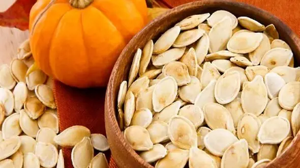 تاثیر تخم کدو در ساخت عضله: همه‌ چیزهایی که باید بدانید