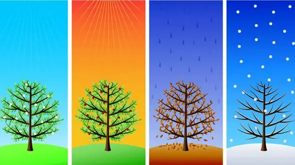  متولد چه فصلی هستید چه شخصیتی دارید ! / تست روانشناسی !