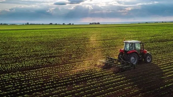 رونق اشتغال در کشاورزی خوزستان 
