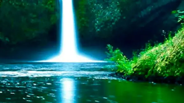 ببینید/ طبیعت زیبای استان گیلان 