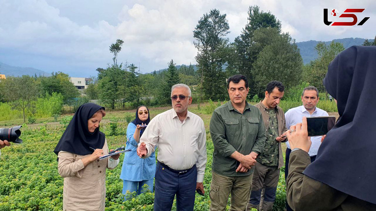 سازمان منابع طبیعی: اعتبار مورد نیاز برای طرح کاشت یک میلیارد درخت ۱۸ هزار همت است / کمبود پول داریم