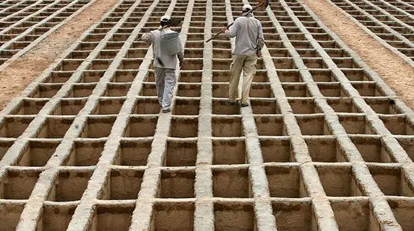 سایه مرگ در منطقه 4 تهران / 441 تهرانی مرگ های ناباورانه داشتند