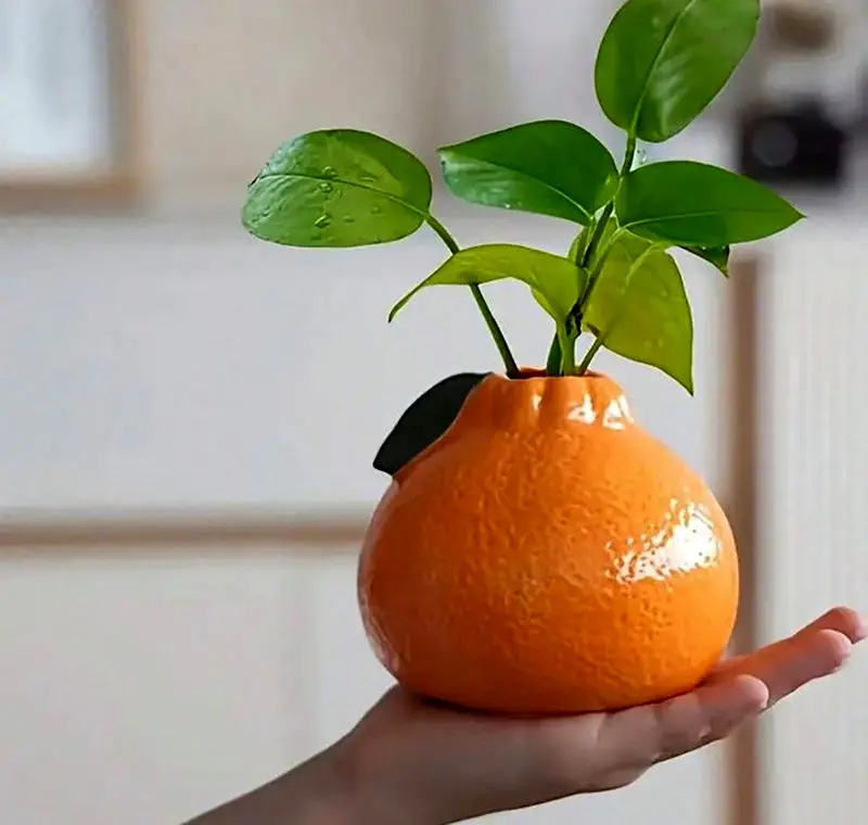 گلدان سرامیکی کوچک
