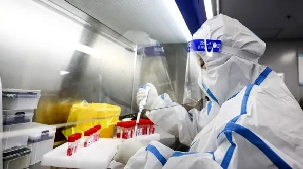 مبتلایان به ویروس «نیپا» در کرالای هند افزایش یافتند