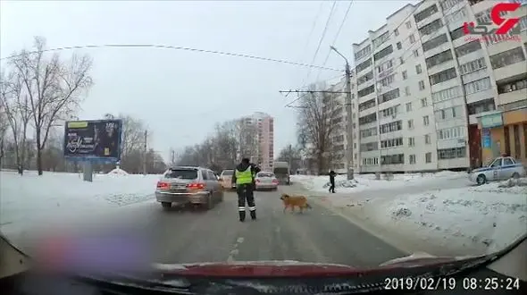 رفتار انسانی مامور پلیس  تحسین کاربران را برانگیخت + فیلم