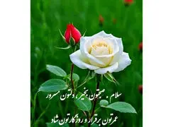 تعبیر فال و طالع بینی امروز 5 دی 1404