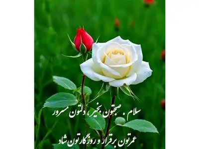 تعبیر فال و طالع بینی امروز 5 دی 1404