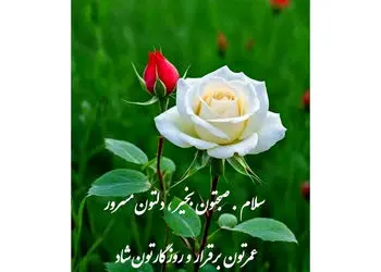 تعبیر فال و طالع بینی امروز 5 دی 1404