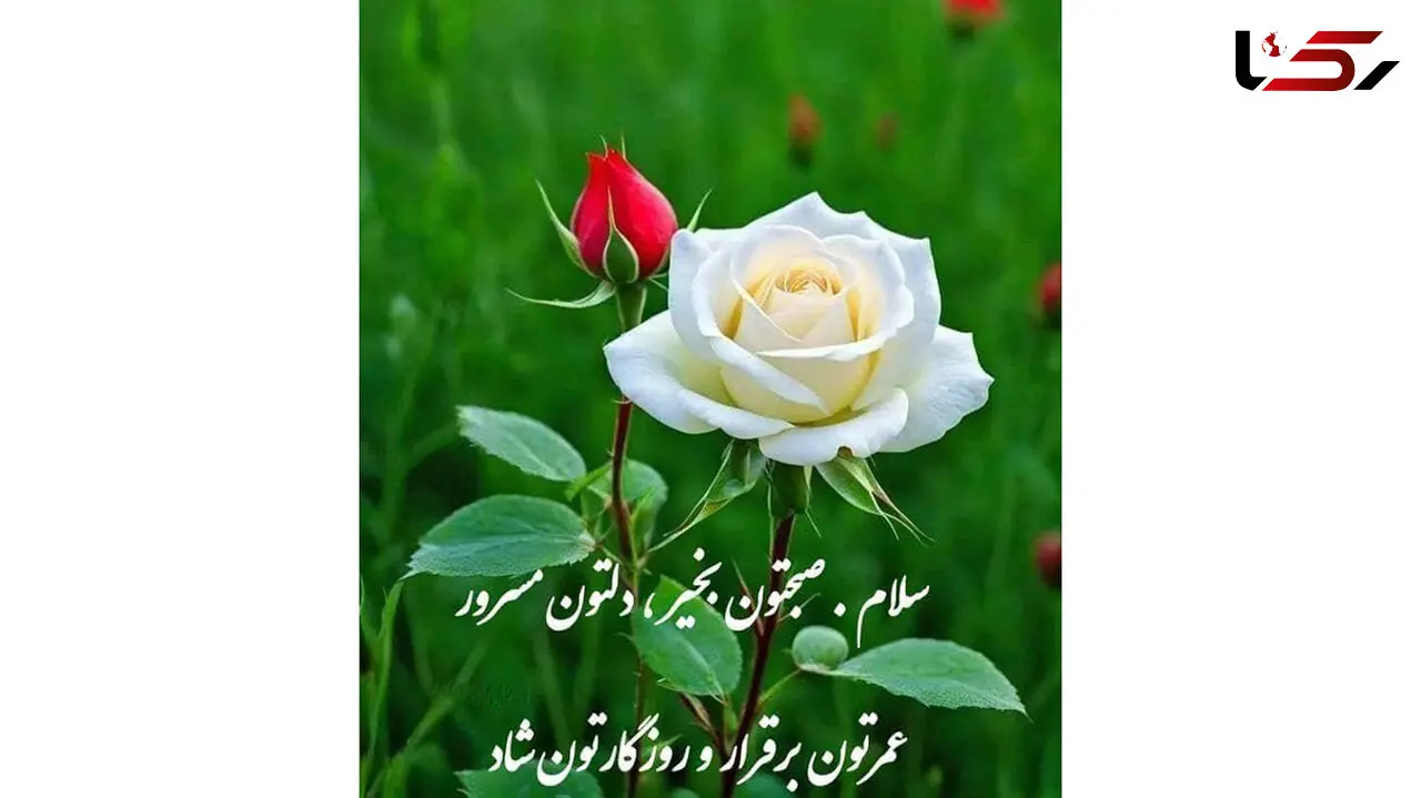 تعبیر فال و طالع بینی امروز 5 دی 1404