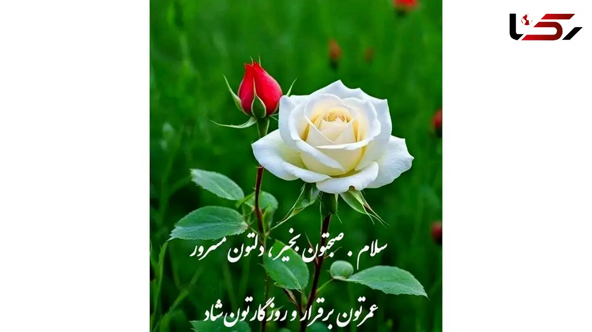 تعبیر فال و طالع بینی امروز 5 دی 1404