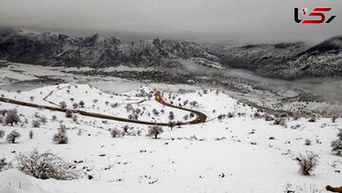 این بار کوه نوردان سمنانی به کوه نروند