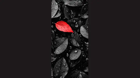 فال ابجد 25 فروردین + فیلم