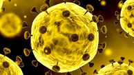 کرونا را بشناسید / راه حل های علمی مقابله با کروناویروس 