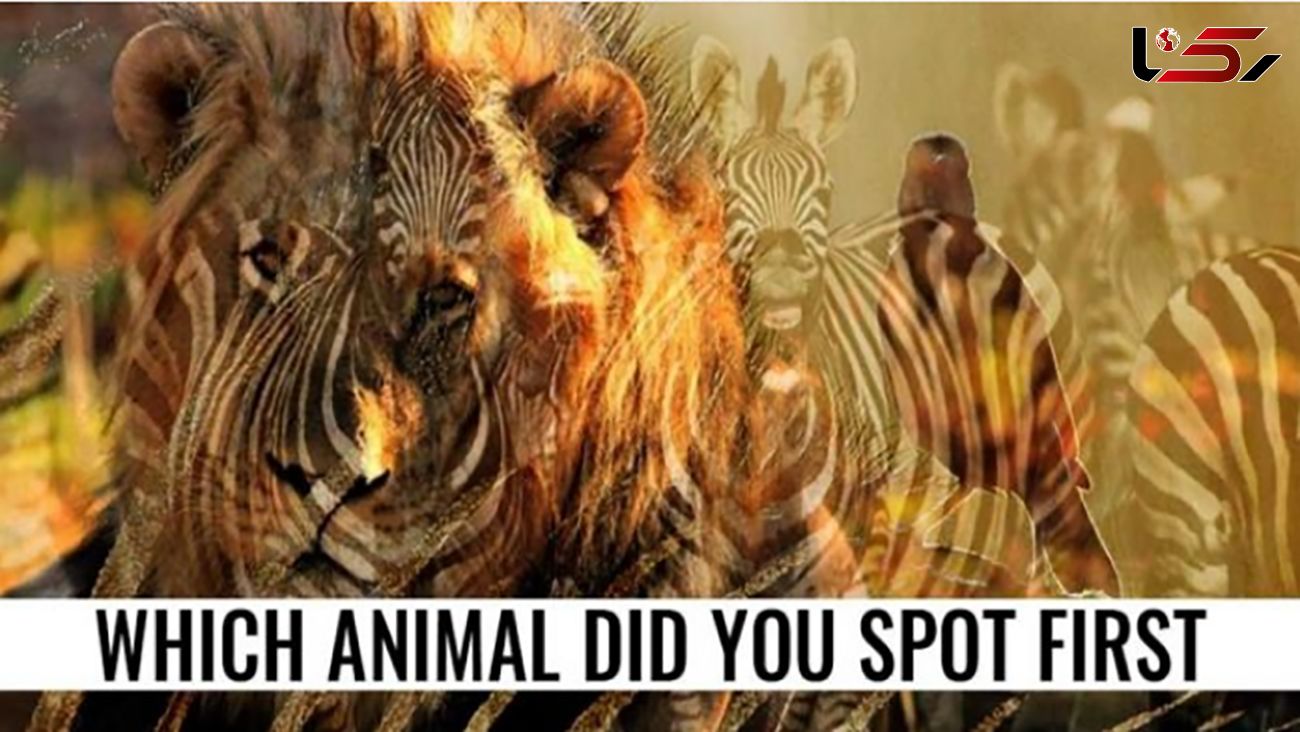 تست : اولین حیوانی که می بینید چیست؟