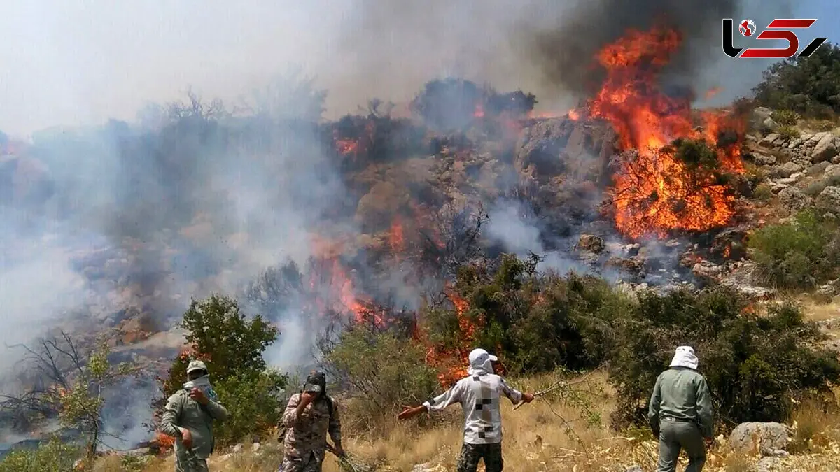 فرارشکنی نکنید ! / مقصر آتش سوزی جنگل الیت چوپانان و گردشگران نیستند