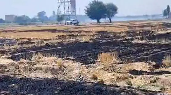 معرفی ۲۶ کشاورز متخلف به مراجع قضایی در شهرستان ری؛ تدوام برخورد قانونی با آتش‌ زدن بقایای کشاورزی 