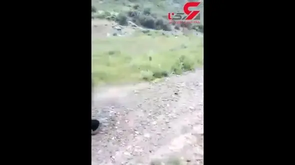 عملیات نجات جان مادر باردار با تلاش عوامل اورژانس+فیلم