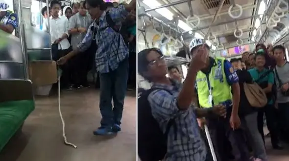 کشف مار در قطار مترو + فیلم