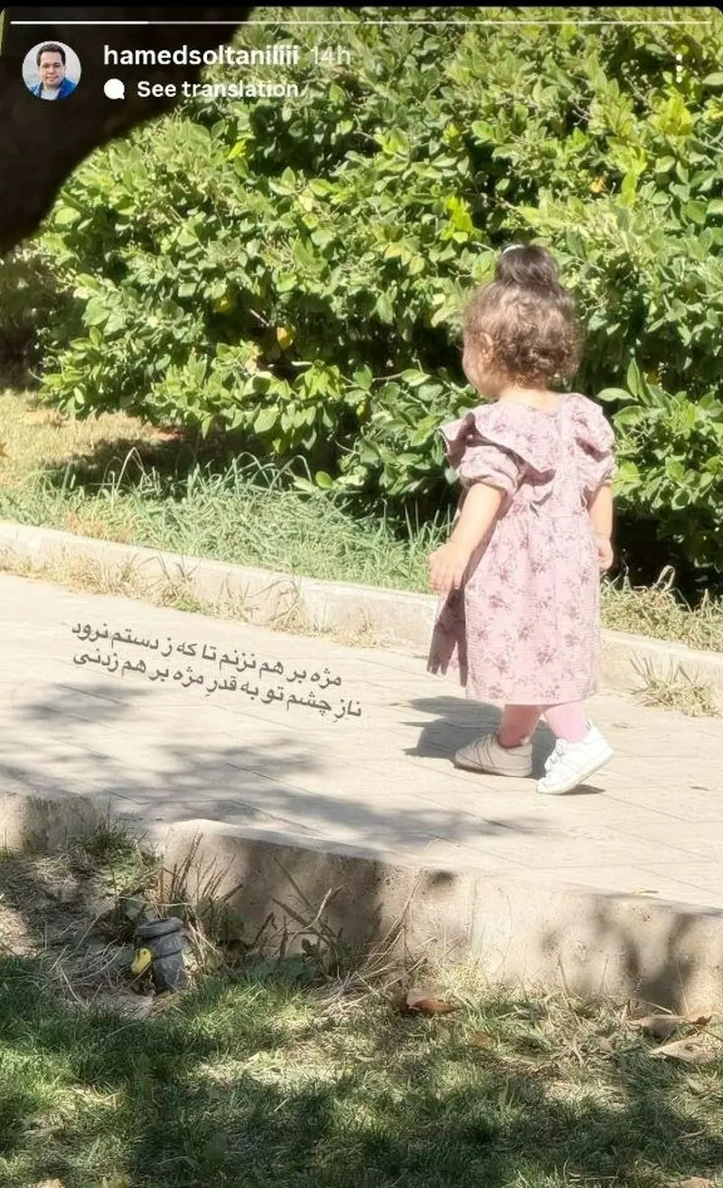 حامد سلطانی 