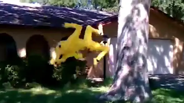 حوادث خنده‌داری که هنگام اجرای شیرین‌کاری‌ اتفاق می‌افتد + فیلم و عکس