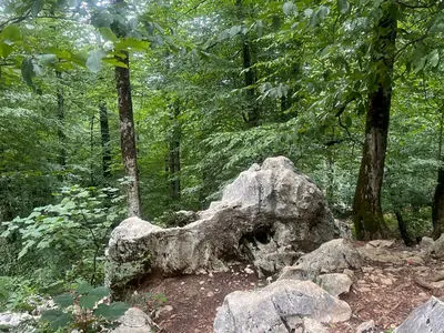 فال ابجد امروز 9 آذر 