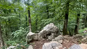 فال و طالع بینی روزانه 27 فروردین 1405