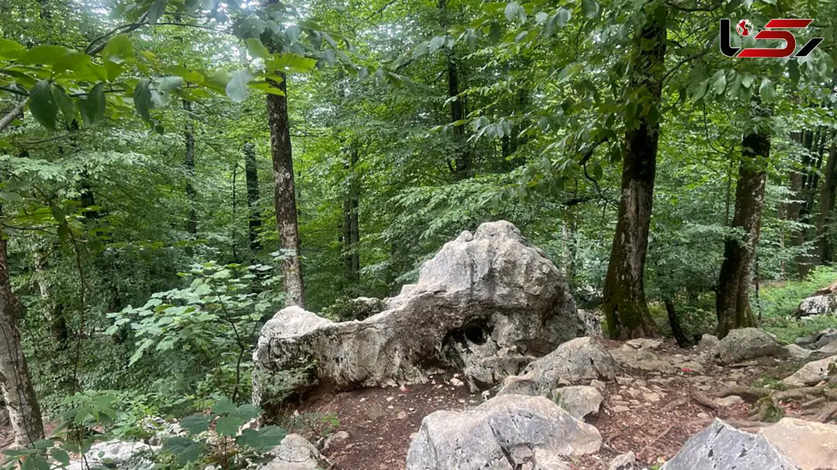 فال ابجد امروز 9 آذر 