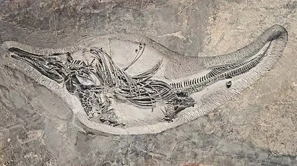 نابودی با ارزش‌ترین گنج دریایی توسط هیتلر + عکس