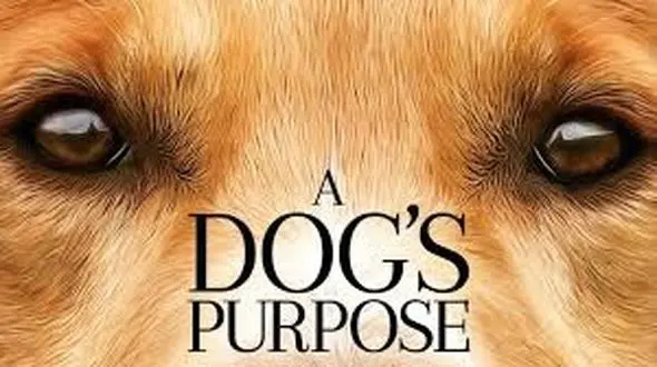  تریلر فیلم هدف سگ A Dog s Purpos + فیلم