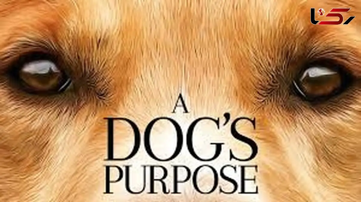  تریلر فیلم هدف سگ A Dog s Purpos + فیلم