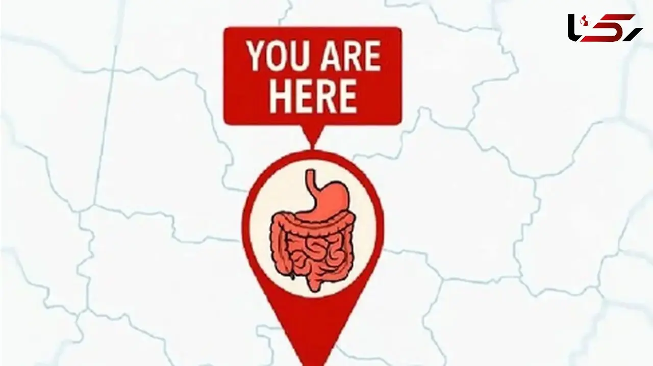 شناسایی شهر محل زندگی از وضعیت روده شما!