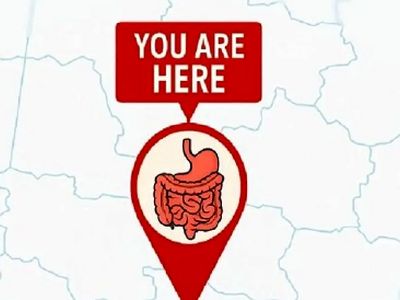 شناسایی شهر محل زندگی از وضعیت روده شما!
