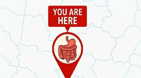 شناسایی شهر محل زندگی از وضعیت روده شما!