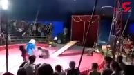 حمله خرس به یک مربی در سیرک+ فیلم 