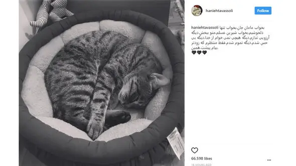 جنجالی که مرگ گربه بازیگر زن معروف ایرانی به پا کرد  +تصاویر 