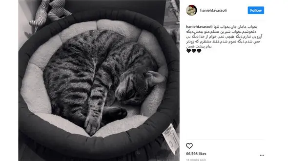 جنجالی که مرگ گربه بازیگر زن معروف ایرانی به پا کرد  +تصاویر 