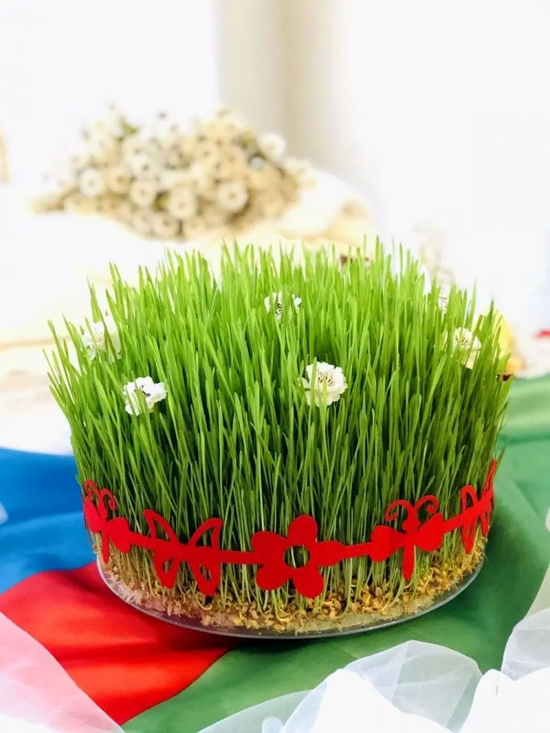 مدل سبزه عید ۱۴۰۵ | بهترین ایده های خلاقانه ساده و جذاب مدل سبزه عید ۱۴۰۵ مخصوص عروس هایی که میخوان سفره هفت سین شیکی داشته باشن!