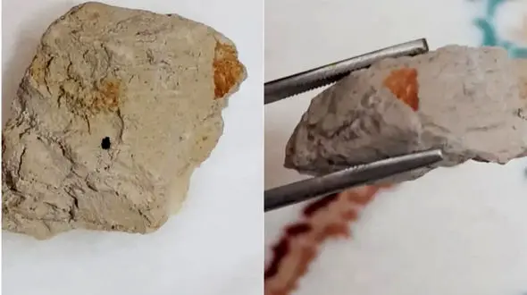 تربت کربلا دوباره به رنگ خون درآمد! + فیلم